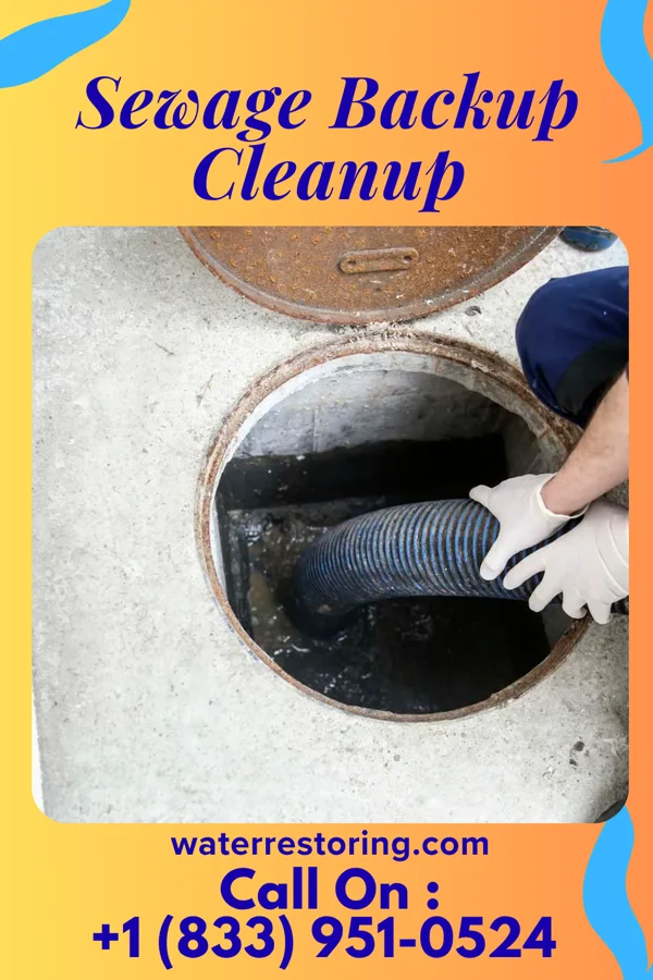 Sewage Backup Cleanup in Paramus, NJ